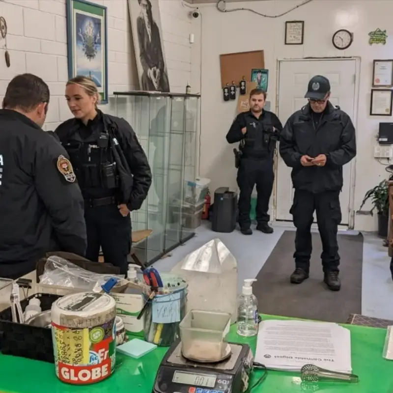Victoria Cannabis Buyers Club Police Raid Pot Bust Crawl (3)